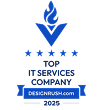 Top-IT-Services-Company